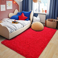 Pionblank Fluffy Area Rug for Bedroom 4x6 Feet, Shag Soft Rug for Living Room by PIONBLANK