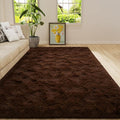 Amearea Premium Soft Fluffy Rug Modern Shag Carpet, 4x5.3 Feet, Fuzzy Shaggy by AmeareaDirect