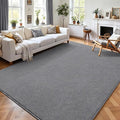 AROGAN Modern Shag Area Rug for Living Room, 6x9 Feet Washable Rugs for Bedroom by AROGANAREARUG