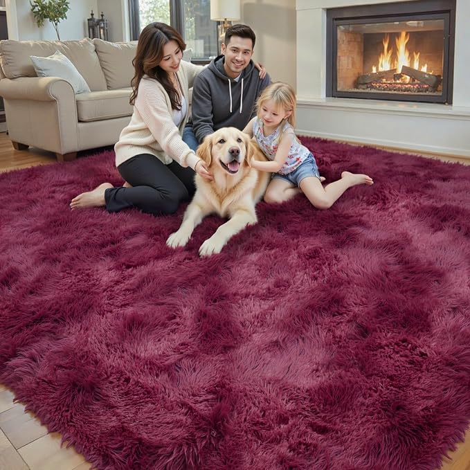 Rugs for Bedroom 4x6, Alfombras para Salas Shag Large Plush Soft Area Rug - Image 7