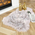 Ashler Faux Fur Rug, Fluffy Shaggy Area Rug Ultra Soft 2 x 3 Feet Sheepskin Fur by AshlerHomeDeco