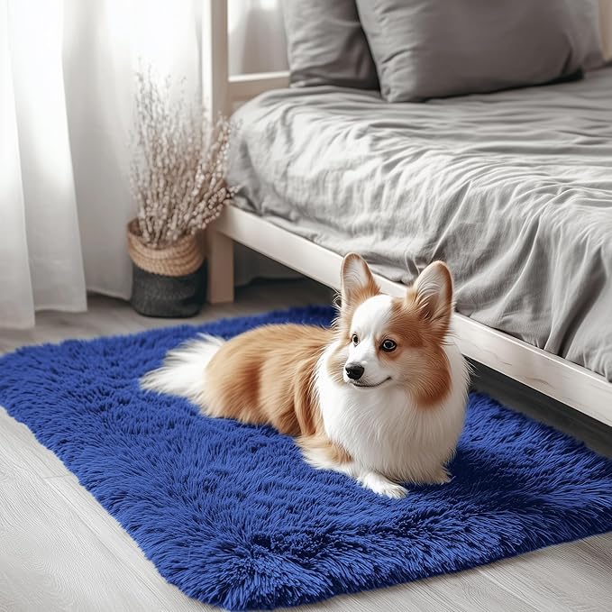 OLANLY 3x3 Machine Washable Small Bedside Rug, Soft Fluffy Shaggy Entryway by OLANLY