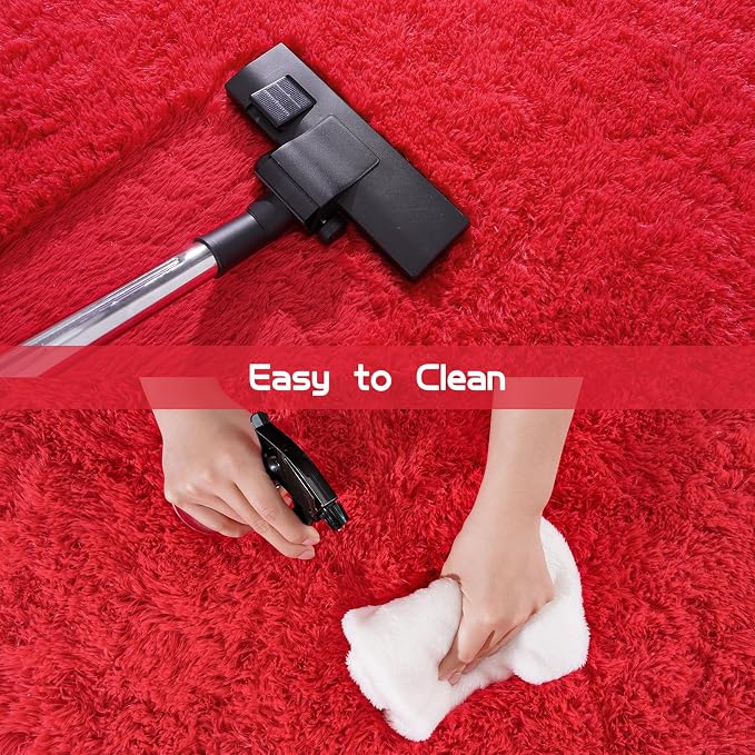 Pionblank 8x10 Rug for Living Room, Fuzzy Plush Large Area Rug, Fluffy Modern - Image 5