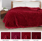 Exclusivo Mezcla Queen Size Flannel Fleece Blanket, Super Soft Striped Jacquard - Image 3