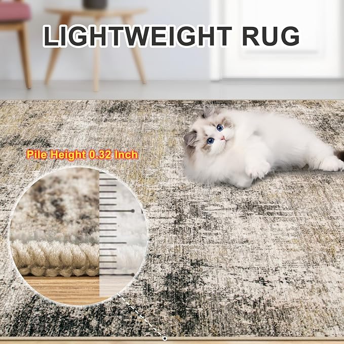 Area Rugs Living Room Rug - Image 4