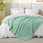 BEDELITE Fleece Throw Blanket for Couch & Bed - Image 5