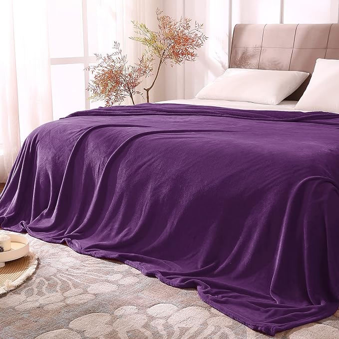 BEDELITE Fleece Blankets Queen Size Purple Throw Blankets by BEDELITE