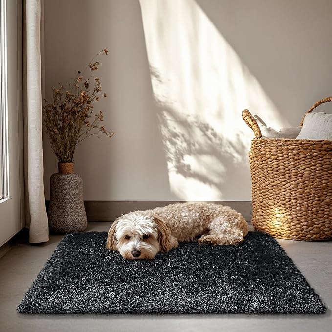2x3 Fluffy Area Rugs for Bedroom Living Room, Small Soft Shag Fuzzy Rug - Image 6