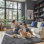 Rugs for Bedroom 4x6, Alfombras para Salas Shag Large Plush Soft Area Rug by Junhejiamei