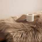 Ashler Faux Fur Rug, Fluffy Sheepskin Fur Rug, Fuzzy Ultra Soft 2 x 3 Ft Rugs - Image 4