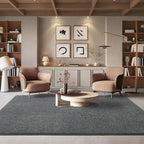 AROGAN Washable 5×7 Living Room Rug, Modern Area Rugs - Image 5