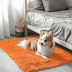 OLANLY 2x3 Machine Washable Small Bedside Rug, Soft Fluffy Shaggy Entryway by OLANLY