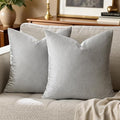 GIGIZAZA Pillow Covers 22x22 Silver Grey Set of 2 Velvet Square Throw Pillow by GIGIZAZAFocusingonhomedecoration
