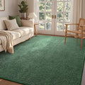 FinRèc 4x6 Washable Area Rugs for Bedroom Living Room, Low Pile Thin Rug Solid by FinRe%CC%80cHome
