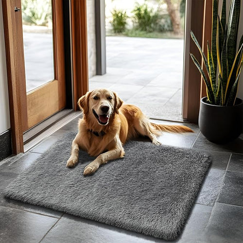 2x3 Fluffy Area Rugs for Bedroom Living Room, Small Soft Shag Fuzzy Rug by yulidayang