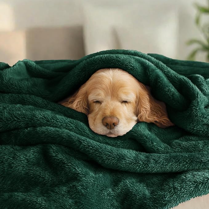 Exclusivo Mezcla Plush Fuzzy Fleece Bed Blanket King Size, Super Soft, Fluffy - Image 3