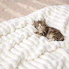 Bedsure GentleSoft Blankets Queen Size - Image 8