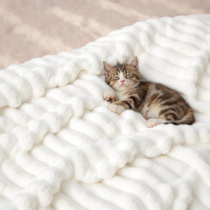 Bedsure GentleSoft Twin XL Blanket - Image 8