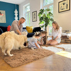 OLANLY Area Rugs for Living Room Bedroom, Machine Washable 4x5.9 ft Soft Fluffy - Image 7