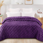 Exclusivo Mezcla Queen Size Flannel Fleece Blanket, Super Soft and Warm - Image 3