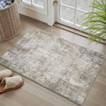 2 x 3 Small Area Rug Indoor Entryway Rug Machine Washable Non Slip Low Pile by AMOAMI