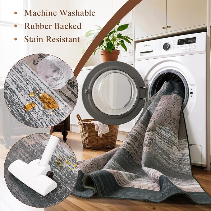LIANLAM 4x6 Washable Area Rugs for Living Room and Bedroom, Vintage Checkered - Image 5