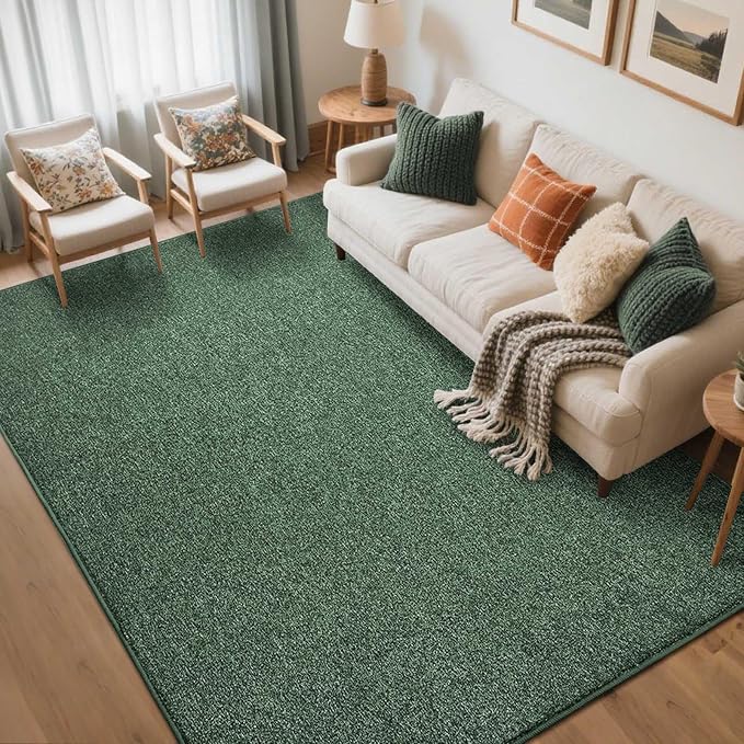 FinRèc 5x7 Washable Area Rugs for Bedroom Living Room, Low Pile Thin Rug Solid by FinRe%CC%80cHome