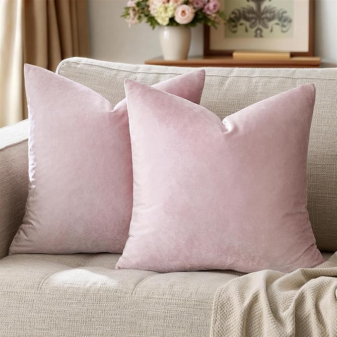 GIGIZAZA Decorative Couch Throw Pillow Covers, Pillow Cases Velvet Pillow Covers by GIGIZAZAFocusingonhomedecoration