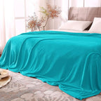 BEDELITE Fleece Blankets Queen Size Teal Throw Blankets by BEDELITE