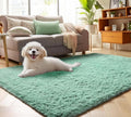 ONASAR Sage Green Area Rugs for Bedroom Living Room, 4x6 Fluffy Cute Indoor by ONASAR