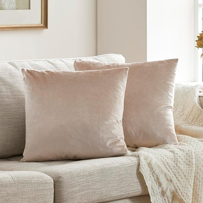 GIGIZAZA 16x16 Beige Pillow Covers: Pack of 2 Champagne Vintage Throw Pillows - Image 9