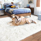 Rugs for Bedroom 4x6, Soft Shaggy Modern Shag Area Rug for Living Room - Image 3