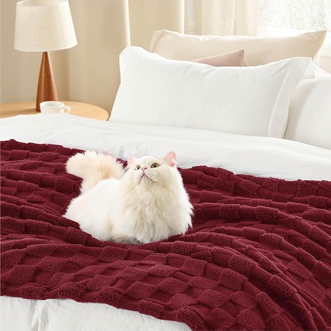 Bedsure GentleSoft Blankets Queen Size - Image 5