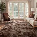 5x7 Ft Shag Brown Area Rug for Bedroom Living Room, Tie-Dyed Ultra Soft Fluffy by Cuzwlovita