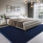 AROGAN Modern Shag Area Rug for Bedroom, 4x6 Feet Washable Rugs for Living Room - Image 6