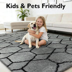 Shag Area Rug for Bedroom 5x8, Fluffy Area Rugs for Living Room, Geometric Soft - Image 6