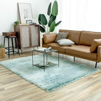 Ashler faux fur rug, Fluffy Shaggy Area Rug Ultra Soft 5 x 7 Feet Rectangle Fur - Image 5