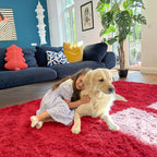 OLANLY 2x6 Machine Washable Runner Rugs - Image 3