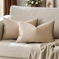 GIGIZAZA Velvet Taupe Decorative Throw Pillow Covers Couch Pillow Lumbar by GIGIZAZAFocusingonhomedecoration