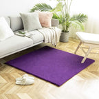 Ashler HOME DECO Ultra Soft Faux Rabbit Fur Chair Couch Cover Area Rug by AshlerHomeDeco