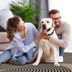 Lahome Modern Rainbow Easy Jute 6x9 Rug, Large Living Room Carpet Washable - Image 6