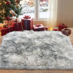 Pionblank Fluffy Small Rug for Bedroom 2x3 Feet, Shag Soft Area Rug, Modern by PIONBLANK