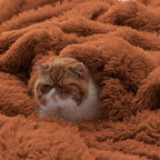 Bedsure GentleSoft Fuzzy Sherpa Faux Fur Twin Blanket Burnt Orange Cozy Gifts - Image 2