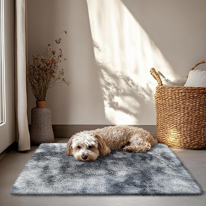 2x3 Fluffy Area Rugs for Bedroom Living Room, Small Soft Shag Fuzzy Rug - Image 6