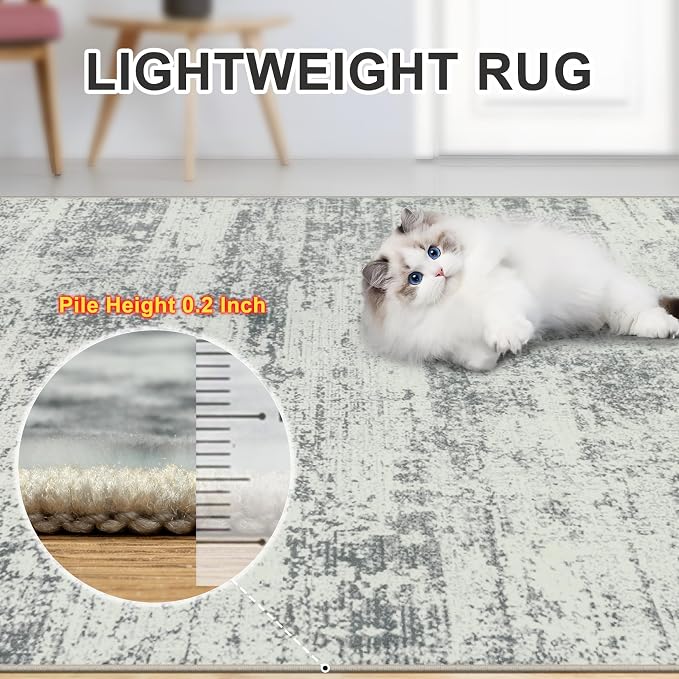 Area Rugs Living Room Rug - Image 7