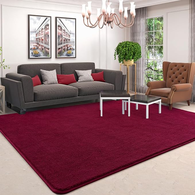 AROGAN Modern Shag Area Rug for Bedroom, 4x6 Feet Washable Rugs for Living Room - Image 7