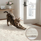 6x9 Area Rugs for Living Room: Vintage Boho Neutral Washable Rug Indoor Soft - Image 7