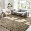 4x6 Area Rugs for Living Room Rug: Soft Fluffy Shag Gray Camel Rugs for Bedroom by CarpetAddColortoYourLife