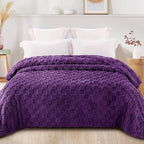 Exclusivo Mezcla King Size Flannel Fleece Blanket, Super Soft and Warm - Image 3