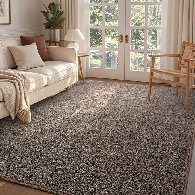 FinRèc 4x6 Washable Area Rugs for Bedroom Living Room, Low Pile Thin Rug Solid by FinRe%CC%80cHome